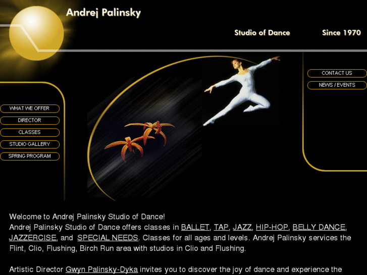 www.andrejpalinsky.com