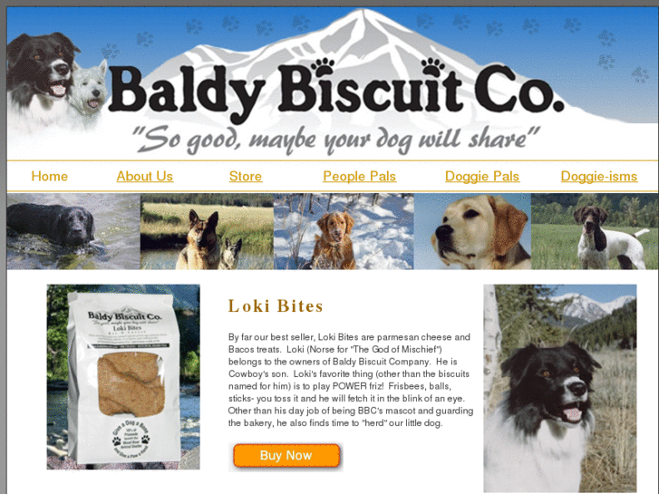 www.baldybiscuit.com