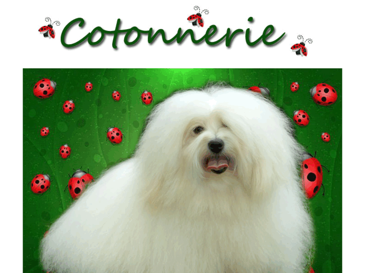 www.cotonnerie.com