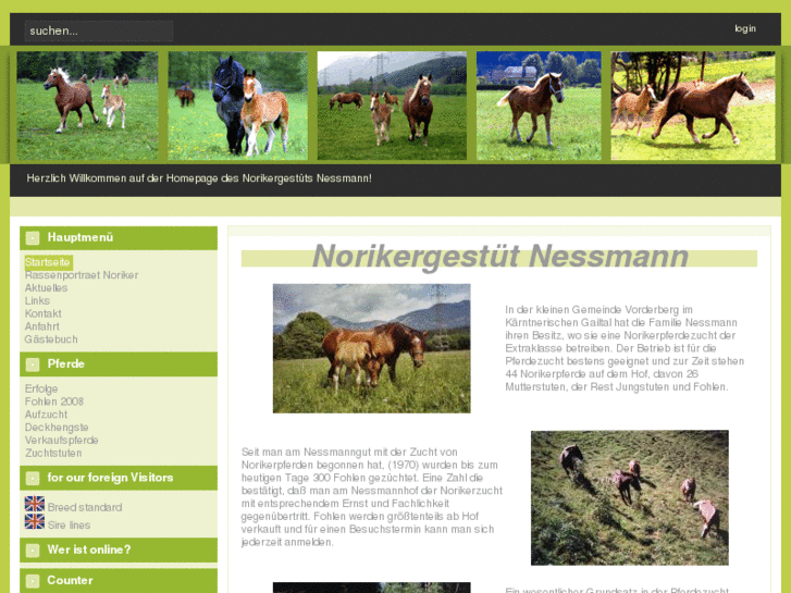 www.nessmann.net