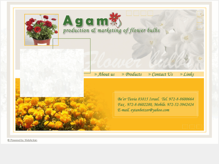 www.agamflowers.com