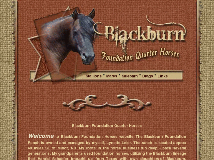 www.blackburnfoundationhorses.com