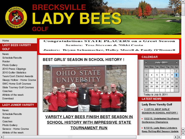 www.brecksvillebeesgolf.com