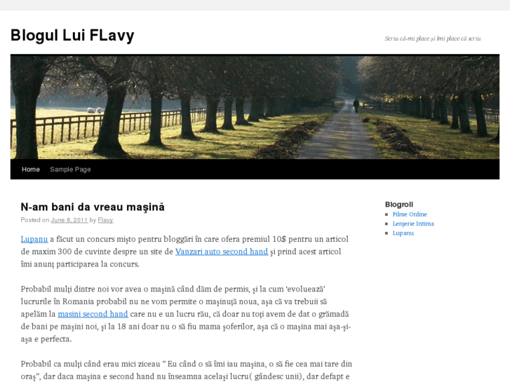 www.flavy.ro