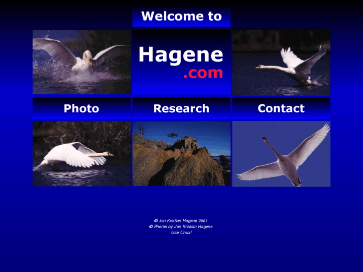 www.hagene.com