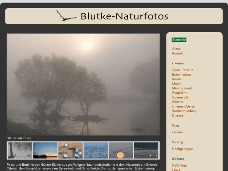 www.blutke-naturfotos.de