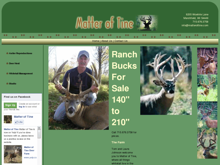 www.matteroftine.com