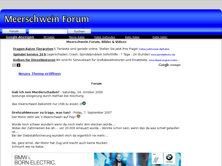 www.meerschwein-forum.com