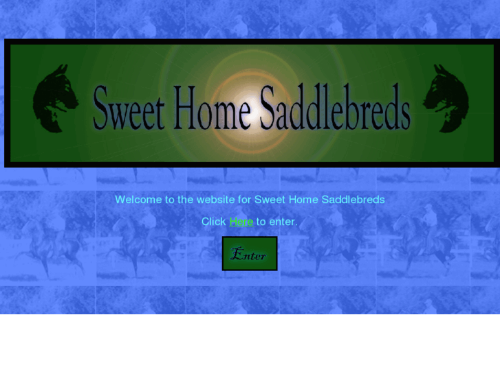 www.sweethomesaddlebreds.com