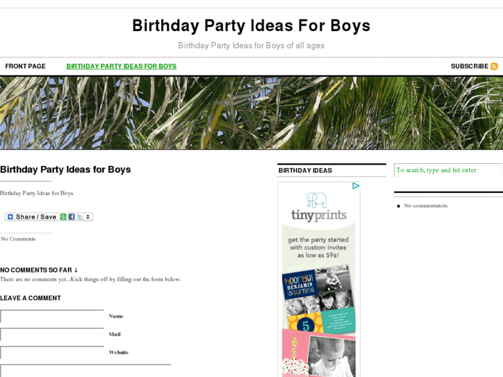 www.birthdaypartyideasforboys.com