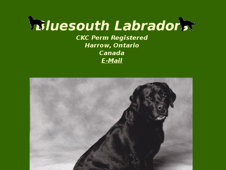 www.bluesouthlabradors.com