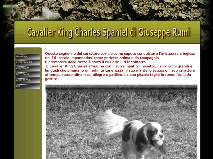 www.cavalierkingcharles-rumi.it