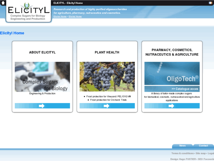 www.elicityl.com