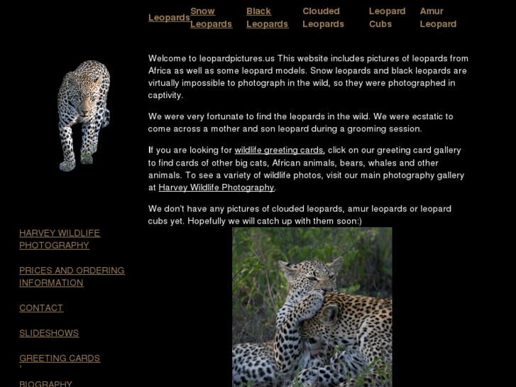 www.leopardpictures.us