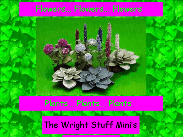 www.wrightstuffminis.com