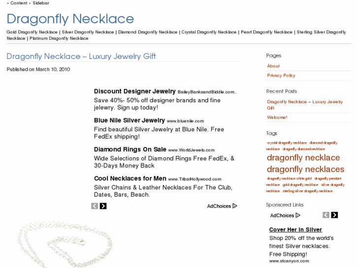 www.dragonflynecklace.org