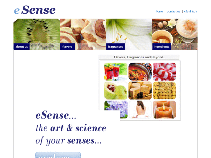 www.e-sense.com