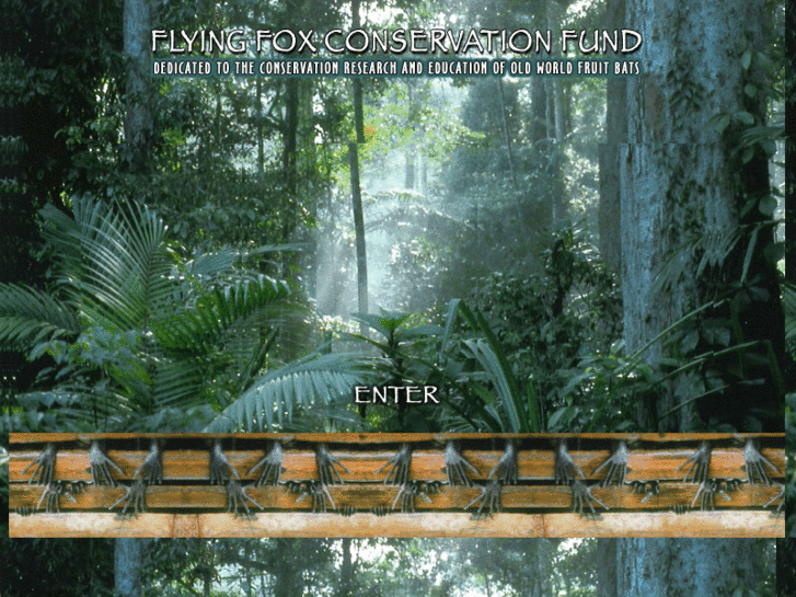 www.flyingfoxconservationfund.com