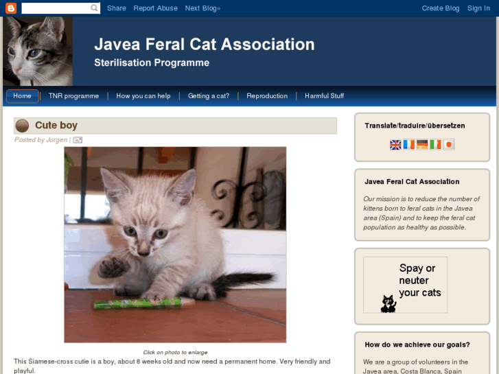 www.javeaferalcats.org