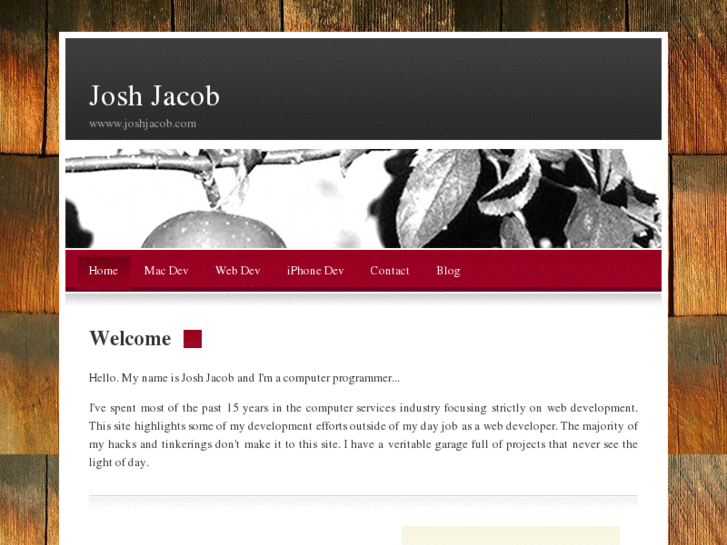 www.joshuajacob.com