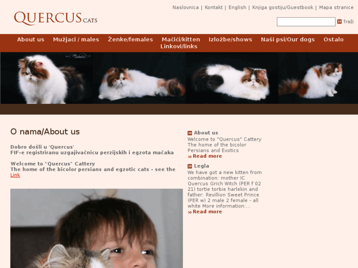 www.quercus-cats.com