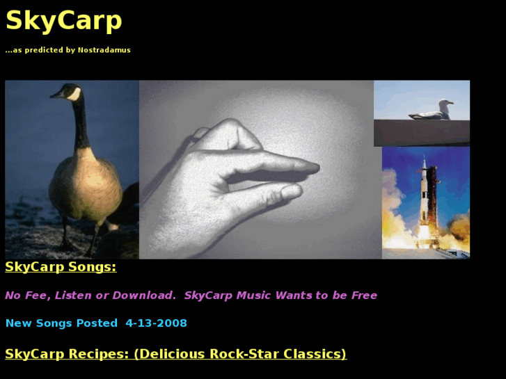 www.skycarp.org