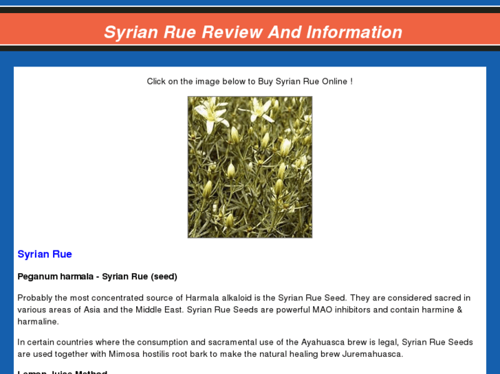 www.syrianrue.com