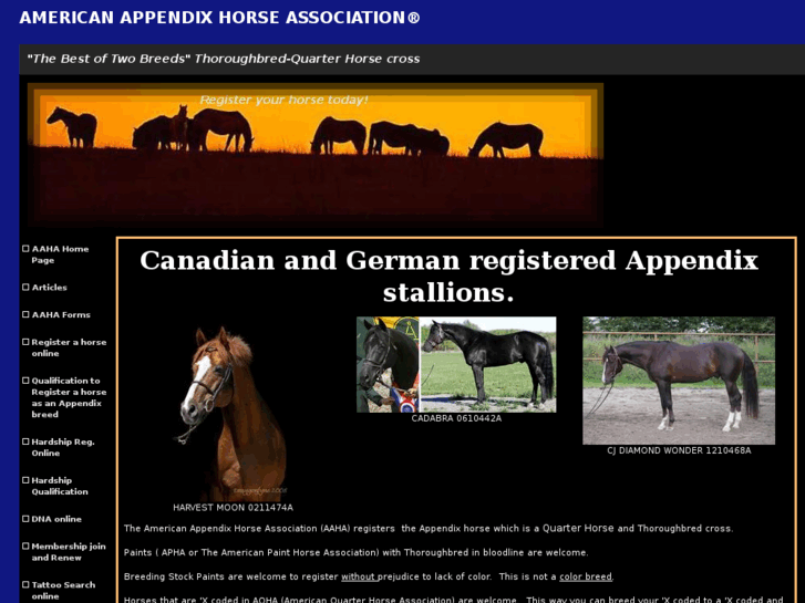 www.americanappendix.com