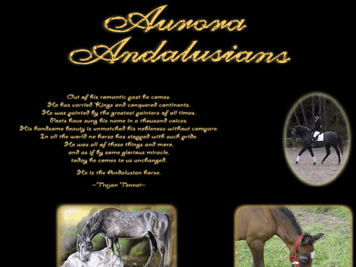 www.auroraandalusians.com