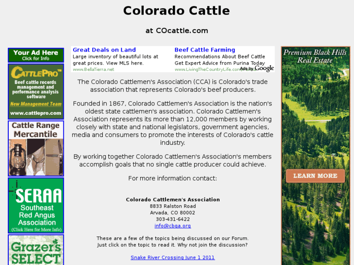 www.cocattle.com