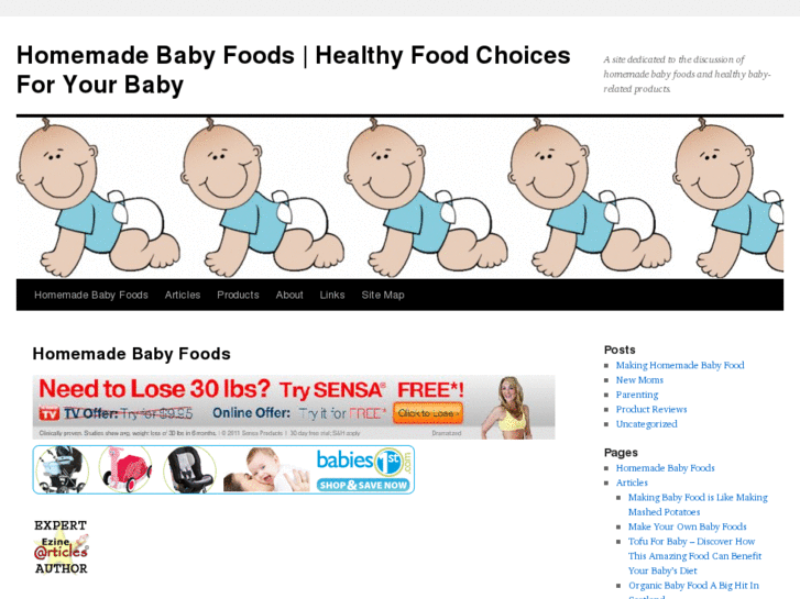 www.homemade-baby-foods.com