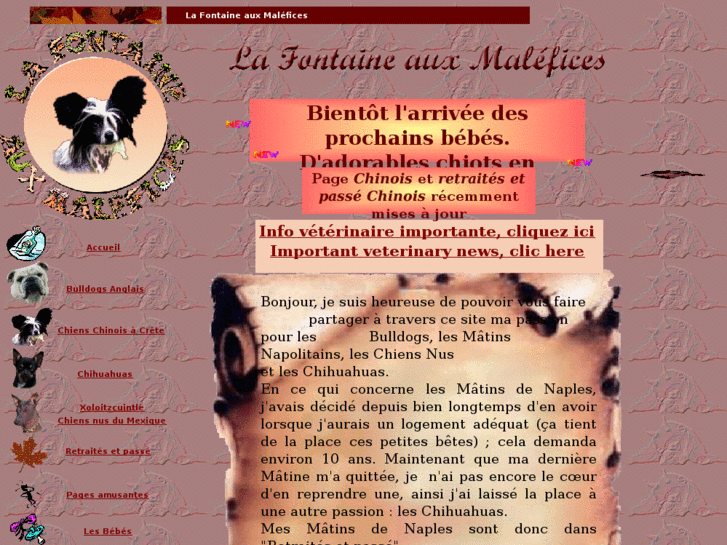 www.malefices-dogs.com