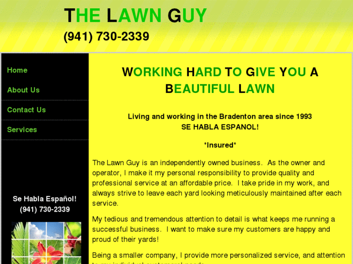 www.the-lawn-guy.com