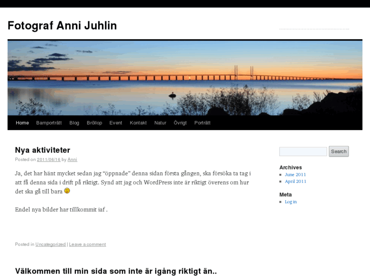 www.annijuhlin.com