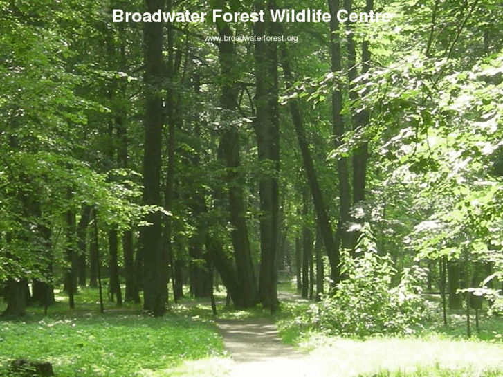 www.broadwaterforest.org