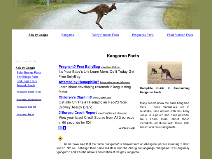 www.kangaroofacts.net