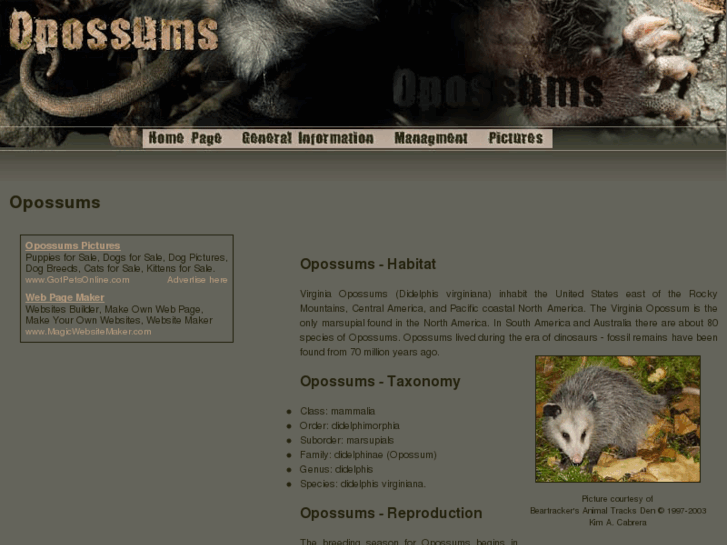 www.opossums-opossums.com