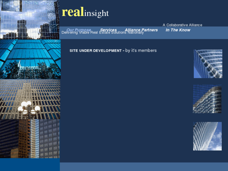 www.realinsight.net