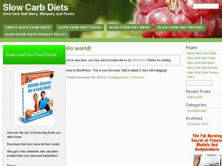 www.slowcarbdiets.com