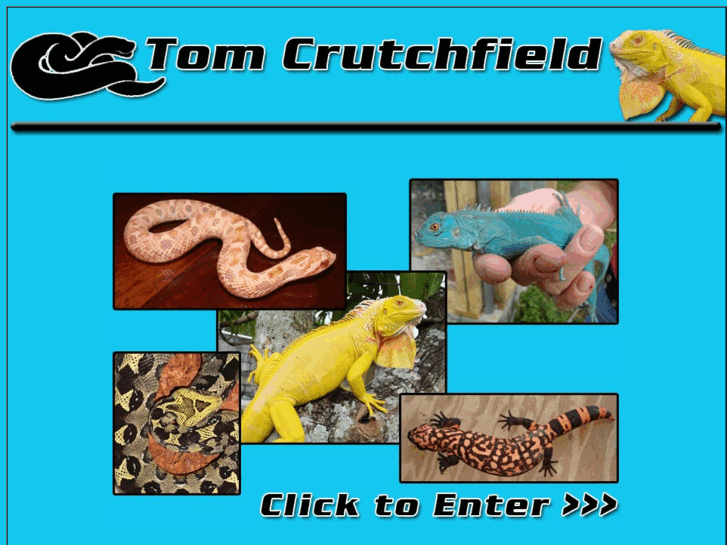 www.tomcrutchfield.com