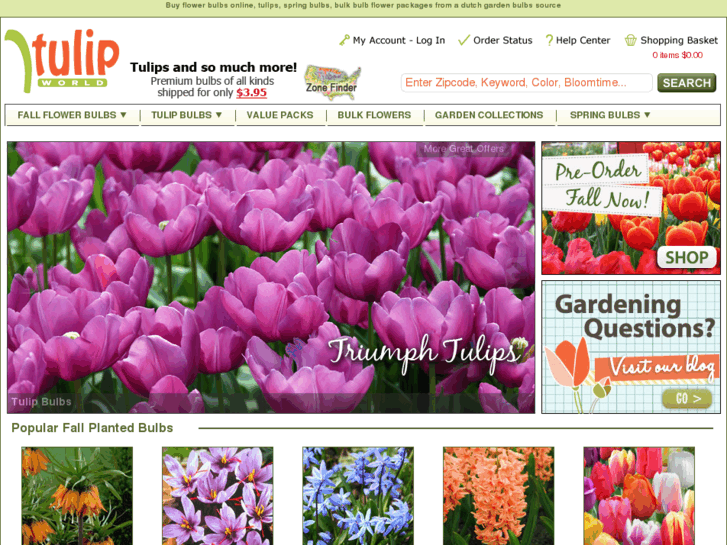 www.tulipworld.com