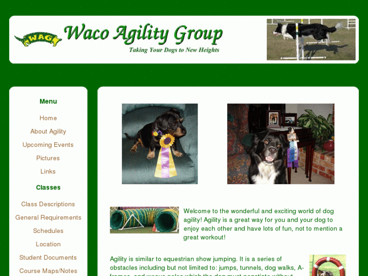 www.wacoagilitygroup.org