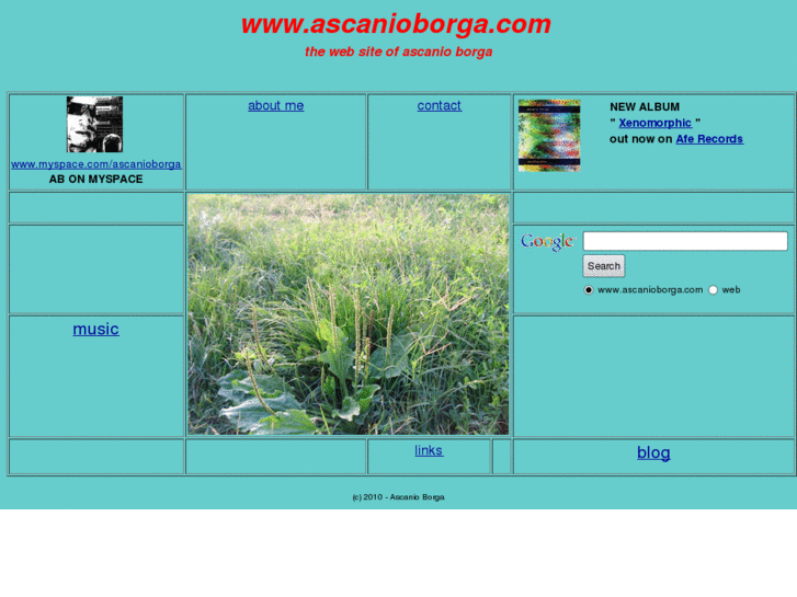 www.ascanioborga.com