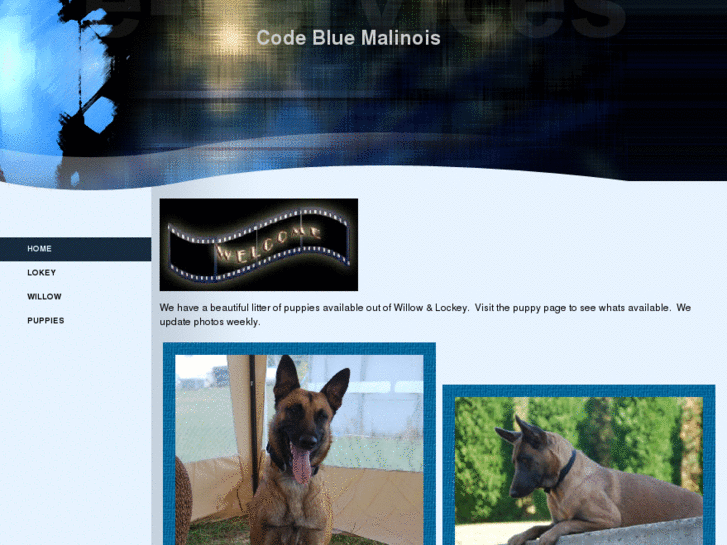 www.codebluemalinois.com