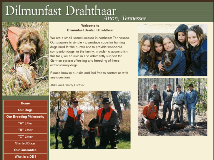 www.dilmunfast.com