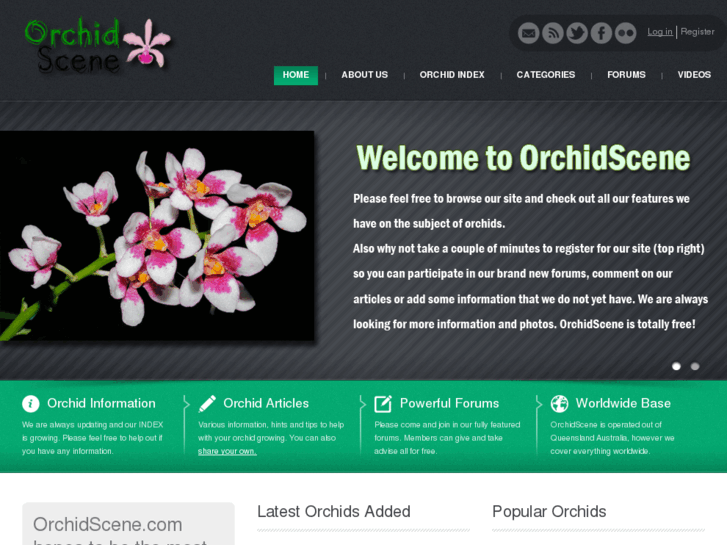 www.orchidscene.com