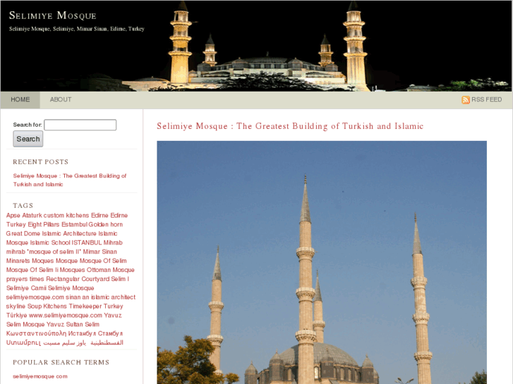 www.selimiyemosque.com