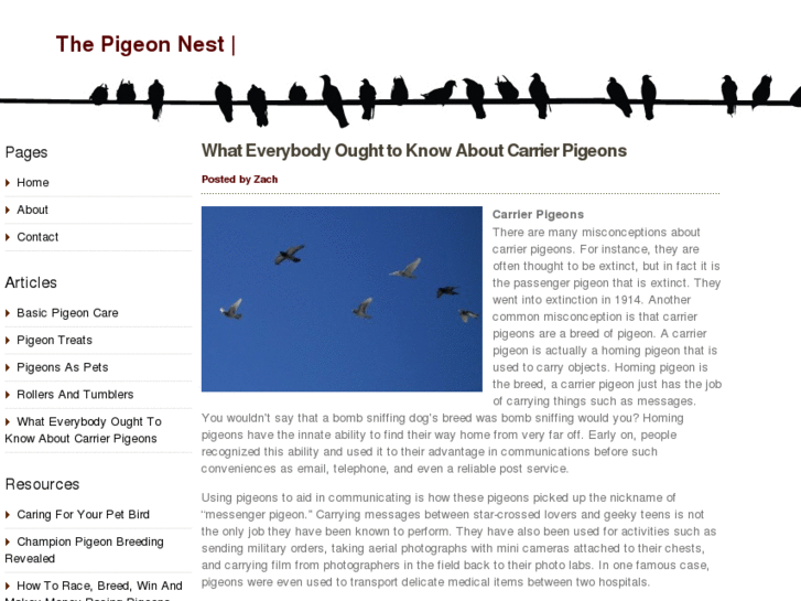 www.thepigeonnest.com