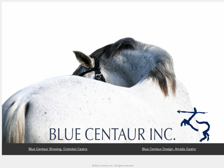 www.bluecentaur.com