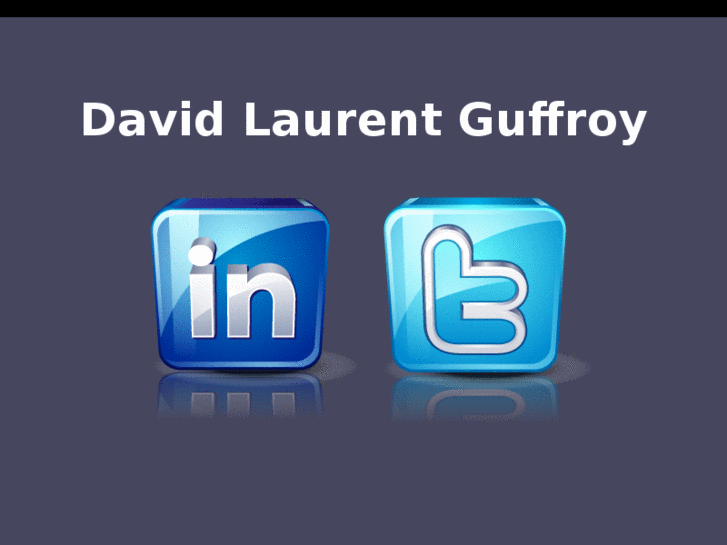 www.davidlaurentguffroy.com